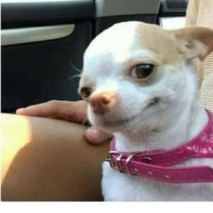 Meet your Posher, Leaslie